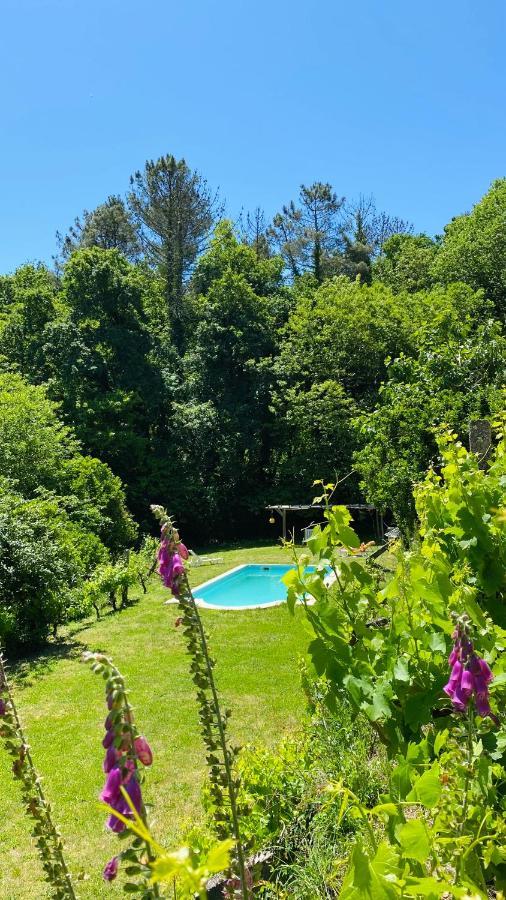 Land Of Deveza - Tiny Houses São Pedro do Sul Exteriér fotografie